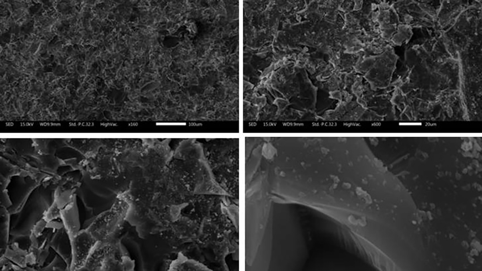 【new arrival】纳米海绵状sers芯片