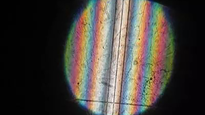 【oceanview系列教程】从搭建到演示的反射（颜色）测量，只要3分钟