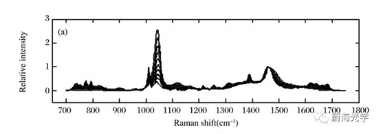 【微光谱应用】使用拉曼光谱仪检测甲醇汽油
