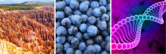 重磅！海洋光学和高光谱成像专业供应商headwall达成战略合作