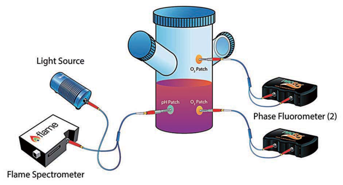 东京湾水质到底如何？