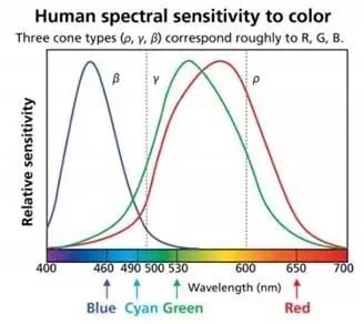 human spectral sensitivity to color