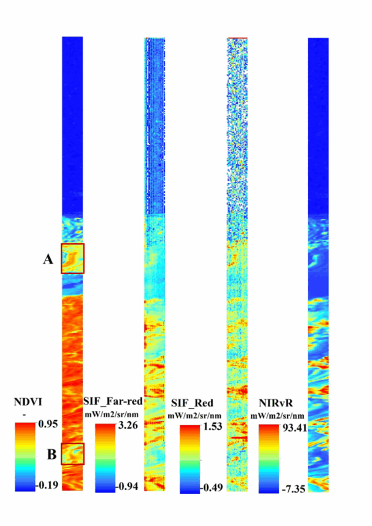 图 3 sifis单景影像的植被指数和sif反演结果的空间分布图