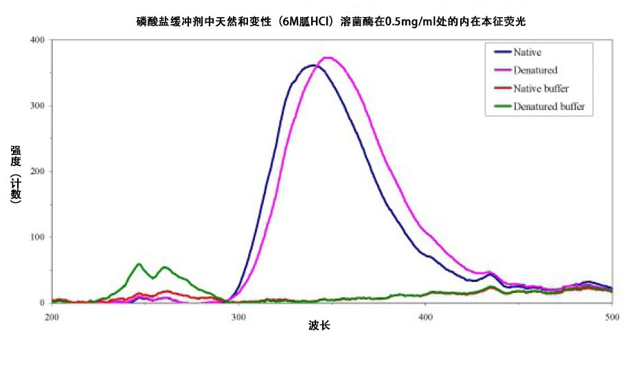 天然和变性的溶菌酶溶液和缓冲剂测量的荧光光谱